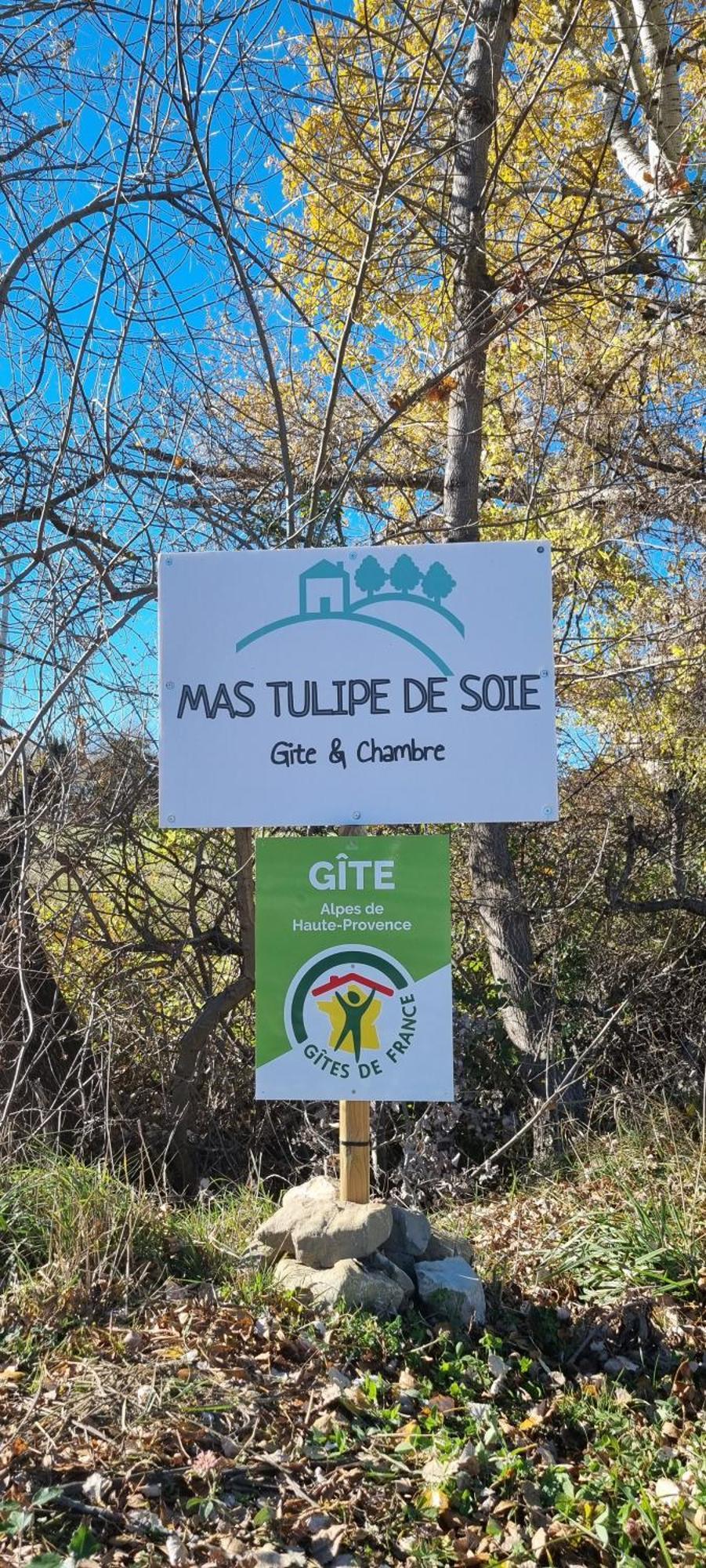 Mas Tulipe De Soie Bed & Breakfast Bevons Exterior photo